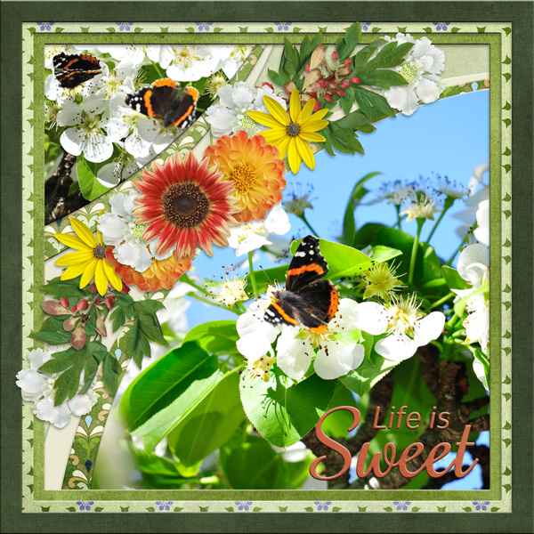 Life is Sweet