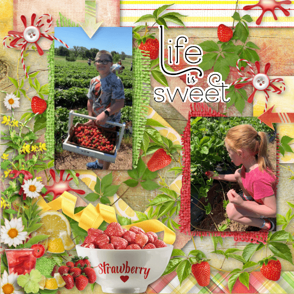 Life Is Sweet