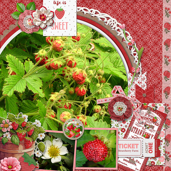 Life Is Sweet