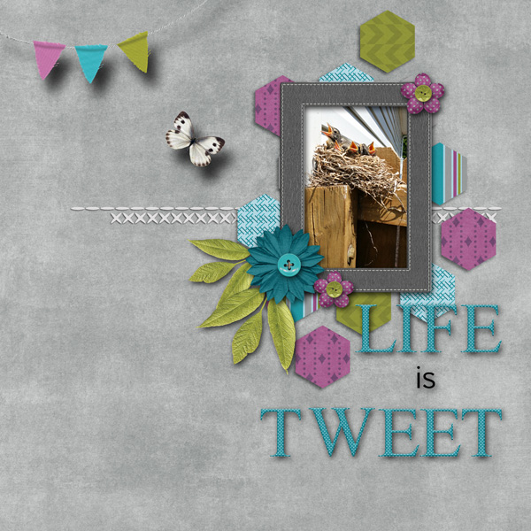 Life is Tweet