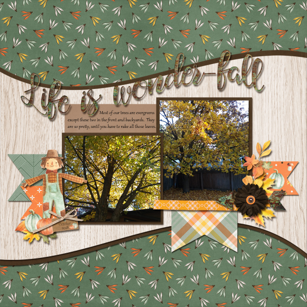 Life is Wonder-Fall