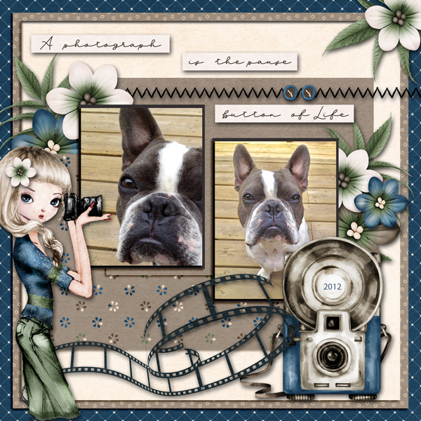 LIFE LENS