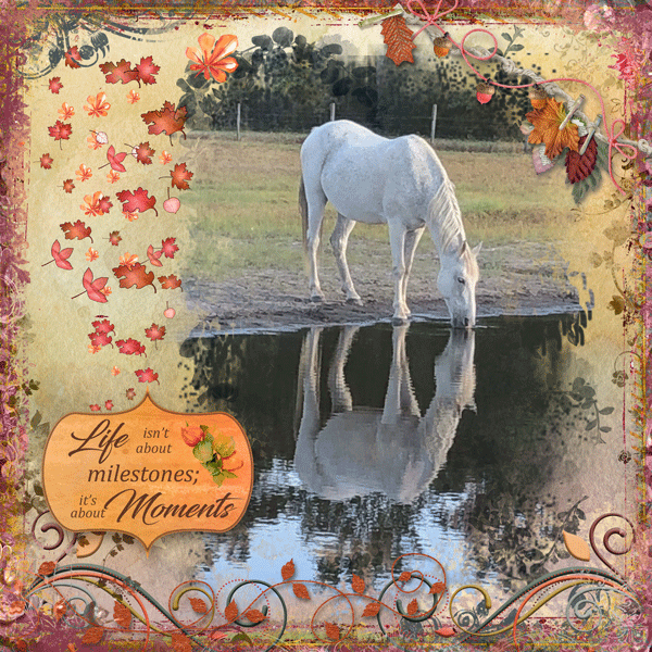 Life Moments