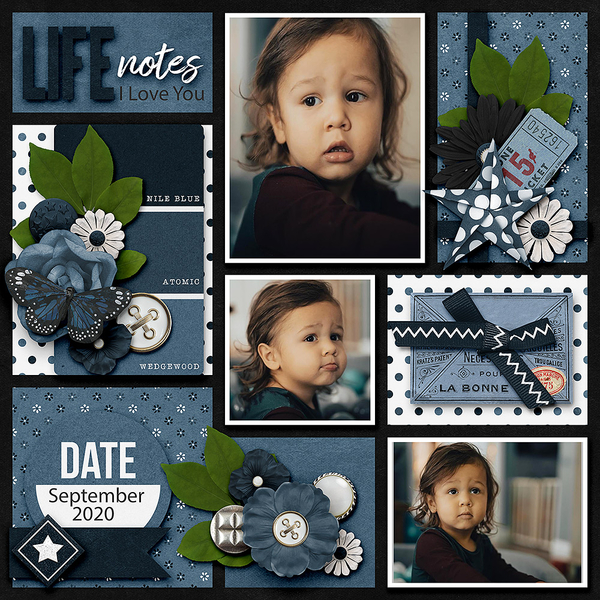 Life Notes I Love You