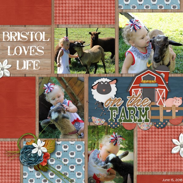 LIFE ON THE FARM