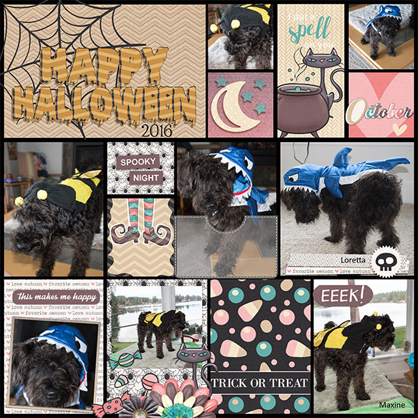 Life Pages October 2016
