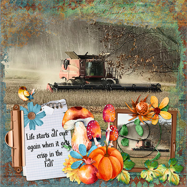 Life Starts Over In The Fall
