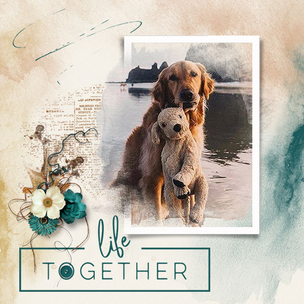 Life Together