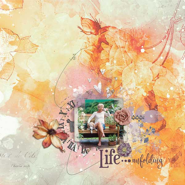 Life Unfolding