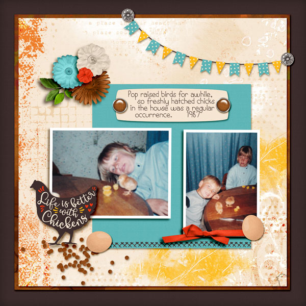 Life with Chickens