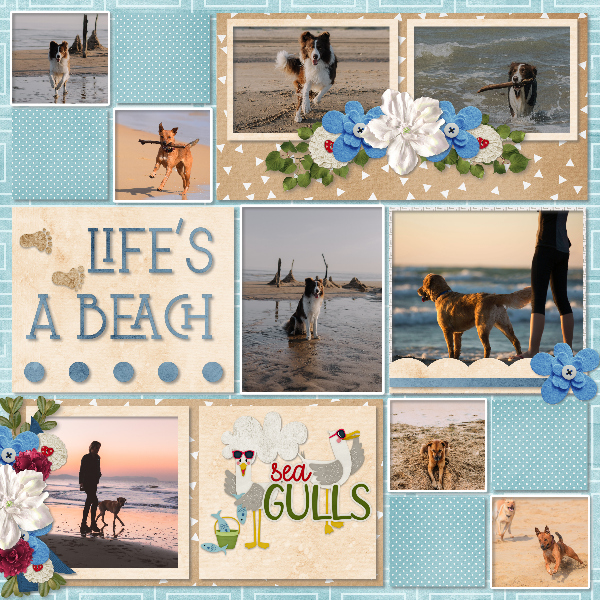 Life_s_a_beach2