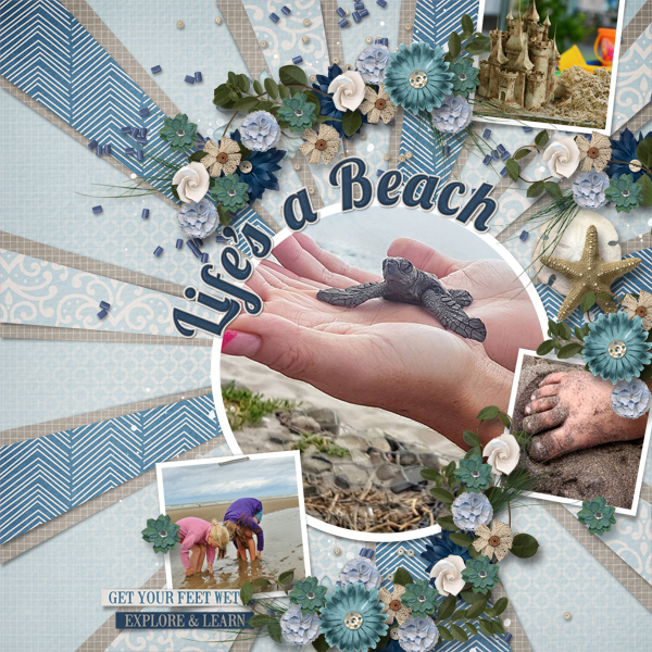 Life's a Beach