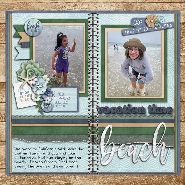 Life's a Beach