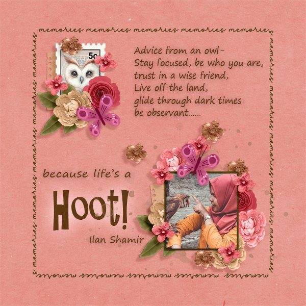 Life's-a-Hoot