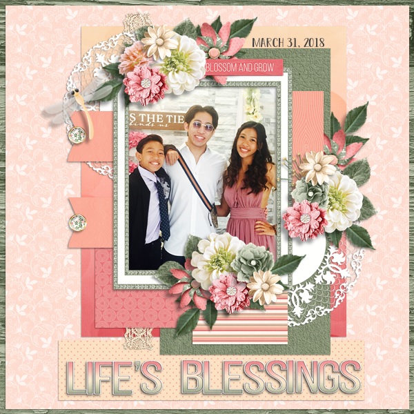 Life's Blessings