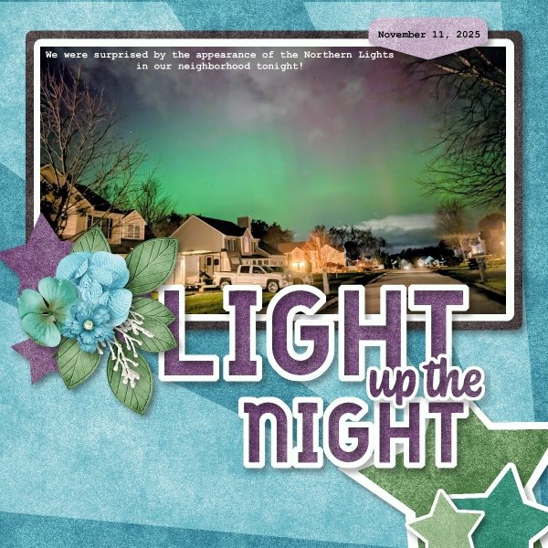 Light Up the Night - November 2025.jpg