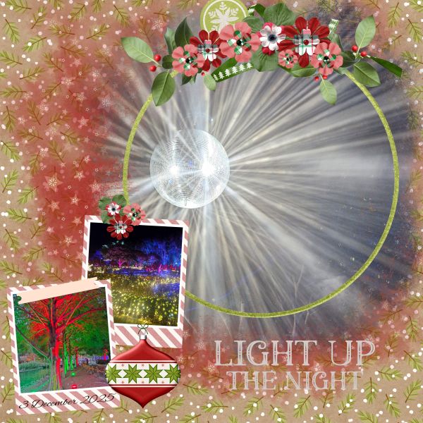 Light Up The Night