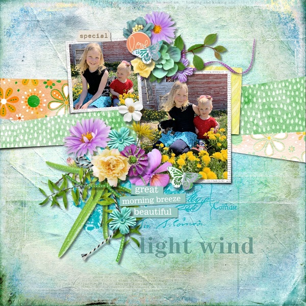 Light Wind