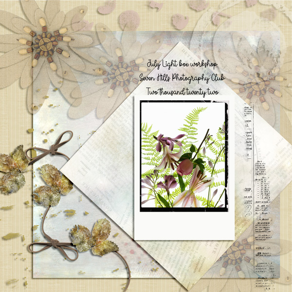 Lightbox - Use It all Aug 2022
