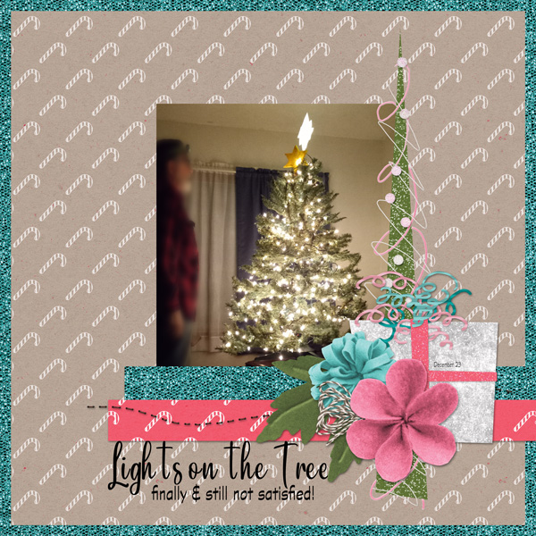 Lighting the Tree