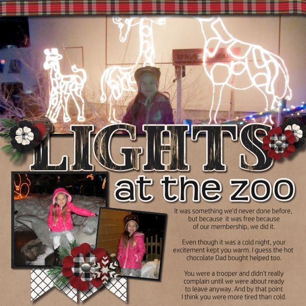 Lights At The Zoo