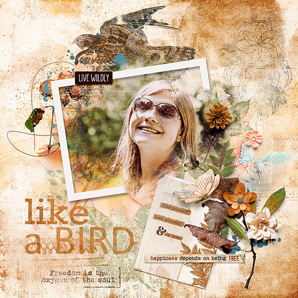 Like a Bird