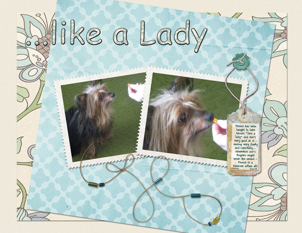 Like a Lady