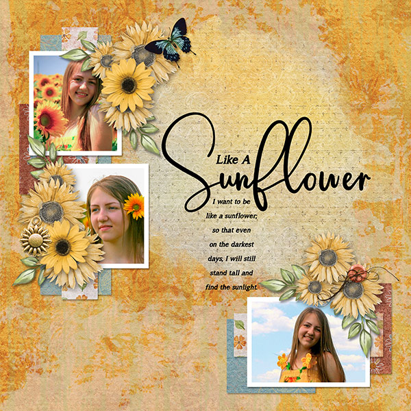 Like A Sunflower