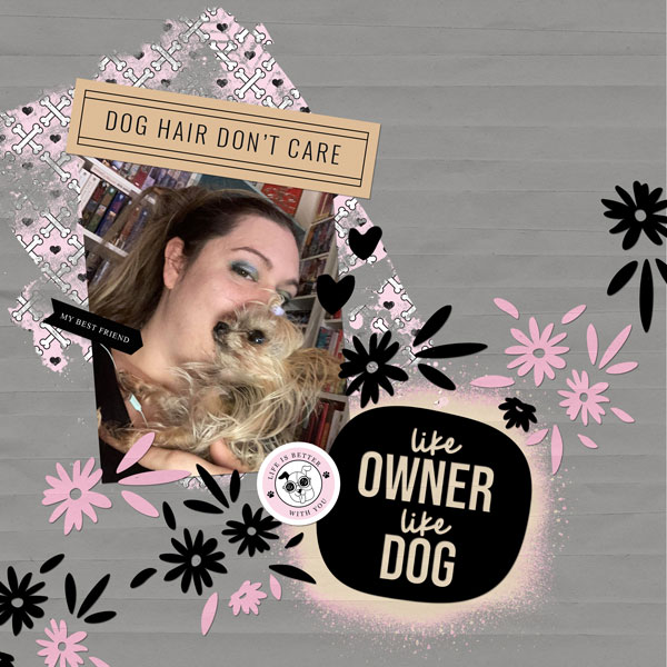 Like Owner Like Dog