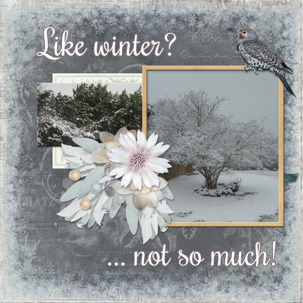 Like winter?   ... not so much!