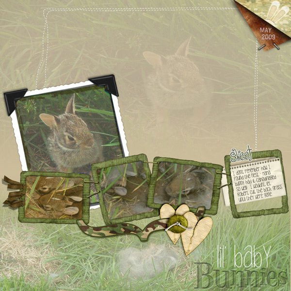 Lil Baby Bunnies