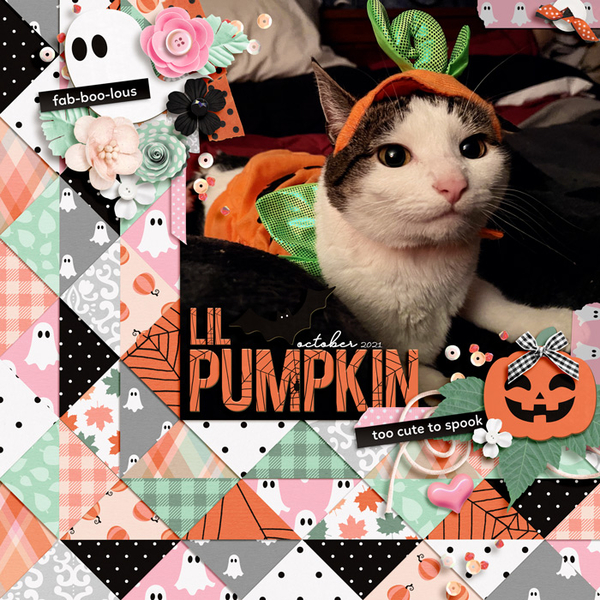lil pumpkin