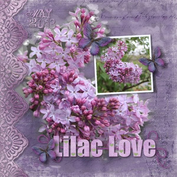 Lilac Love