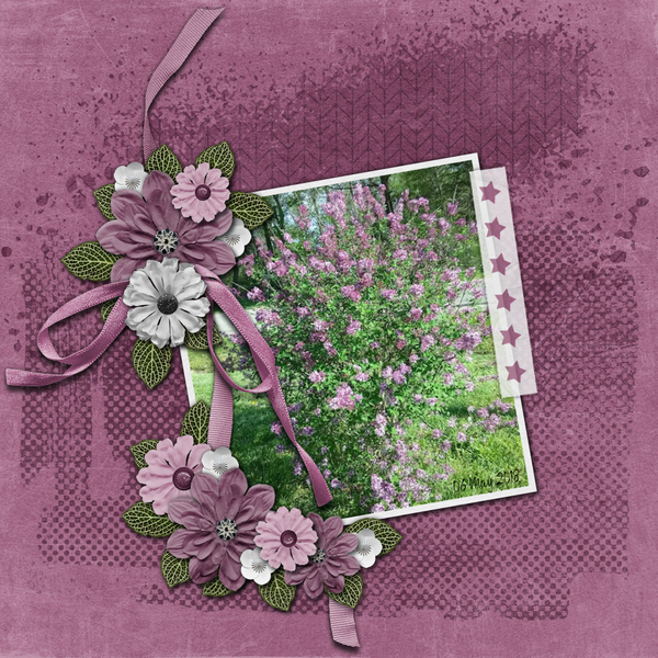 Lilac