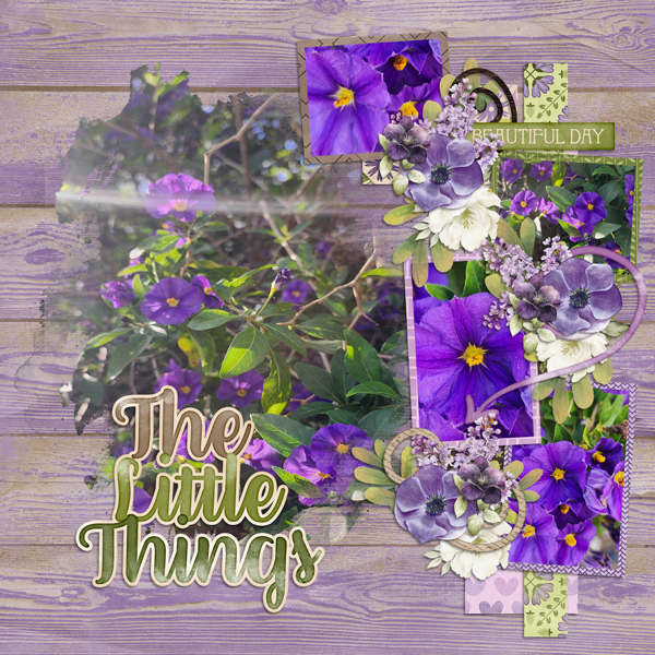 Lilac