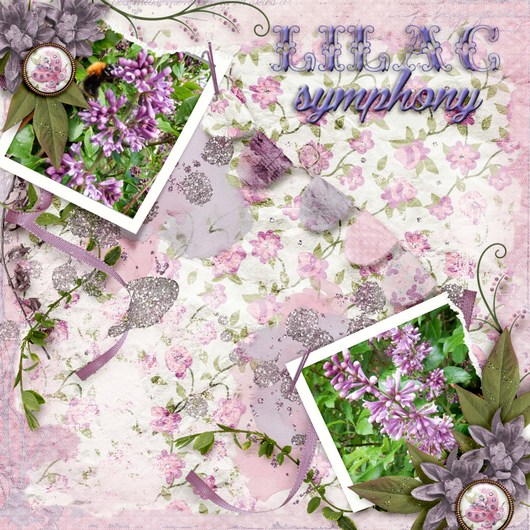 Lilac_symphony