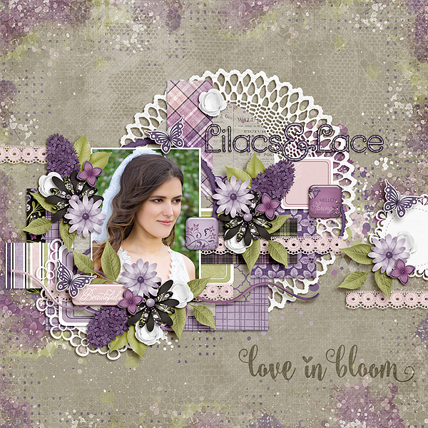 Lilacs and Lace