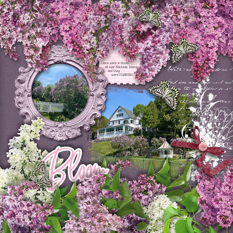 Lilacs.jpg