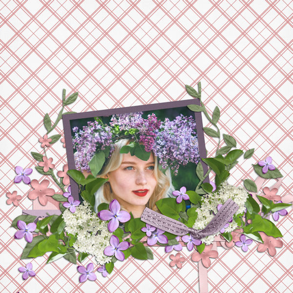 Lilacs QP