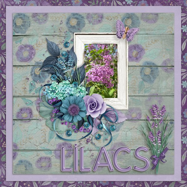 Lilacs-web.jpg
