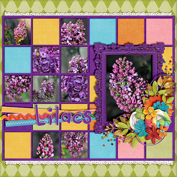 Lilacs