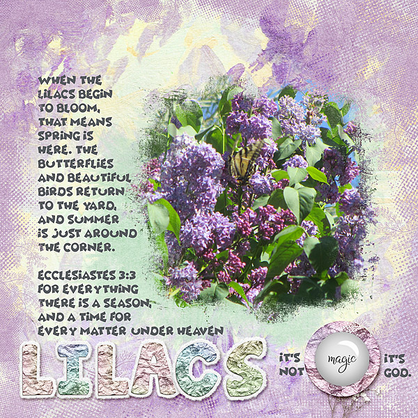 Lilacs