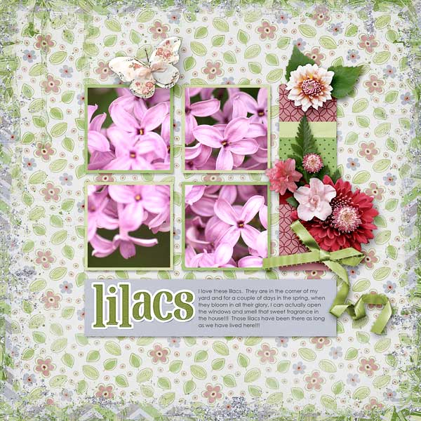 Lilacs