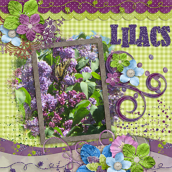Lilacs