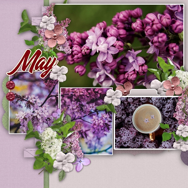 Lilacs