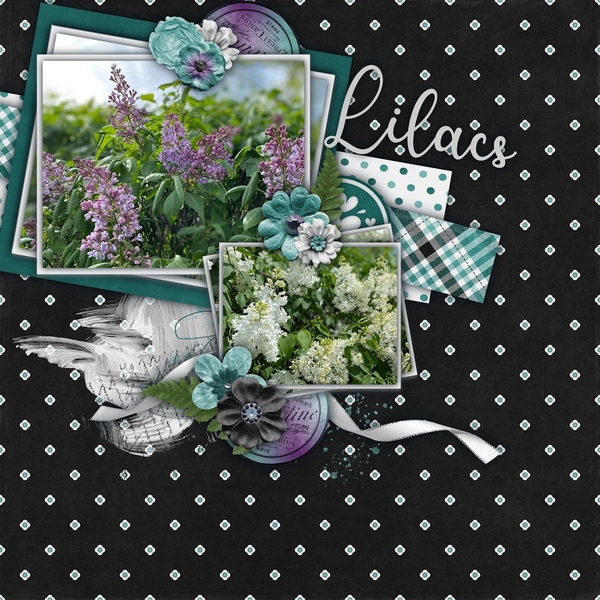 Lilacs