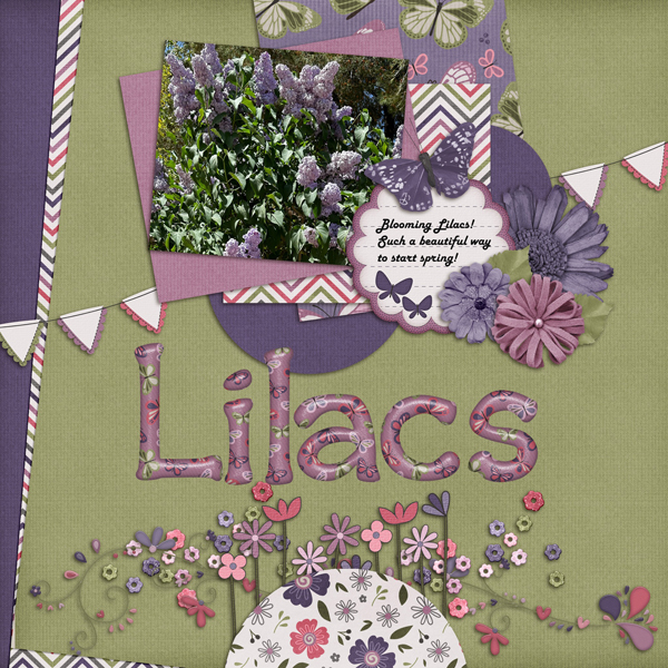 Lilacs