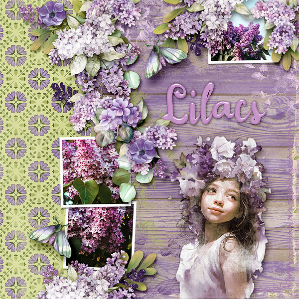 Lilacs