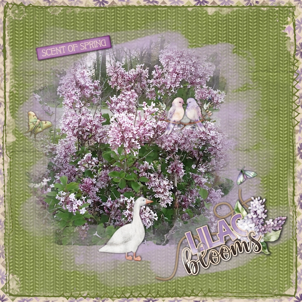 Lilacs