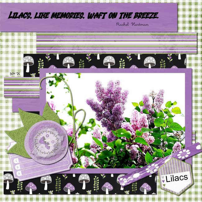 Lilacs